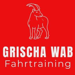 Grischa WAB Fahrtraining