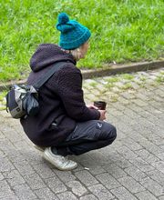 Und die Hunde Bild 1