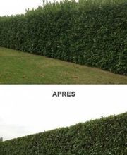 Entreprise Kennel image 18