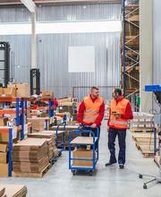 LC Los Cristianos imagen 2