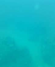 Domenico Rizzi immagine 18