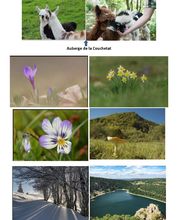 Gîte du Pré Chapy image 10