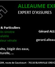 Alleaume Expertises image 3