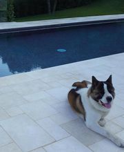 Marbres et déco / EPSTONE Pierres naturelles image 14