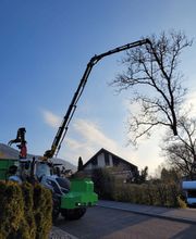 Mammutholzerei GmbH Bild 2