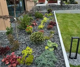 Daily Gartenpflege Bild 9