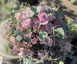 Blumen La Violetta Bild 8