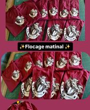 Sellerie Alidada image 9