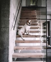 Treppen & Bauelemente Schmidt GmbH Bild 3