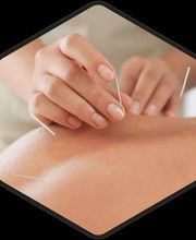 Physio-Fit PREMIUIM TRAINING Gesundheitszentrum Bild 7