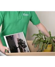 Umzug Einfach Gemacht Bild 2