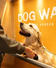 Tom&Co Blois - Animalerie - Dog Wash image 2