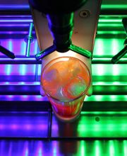 Cocktail-Joe Bild 14