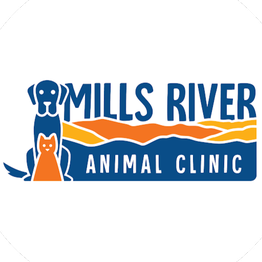 Mills River Animal Clinic