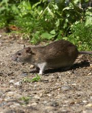 Abando Desinfecciones imagen 13