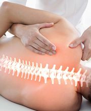me-zodoholistico imagen 5