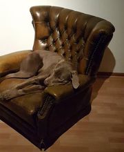 Roers Raumgestaltung Bild 5