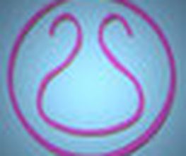 Hasler Rita Bild 5