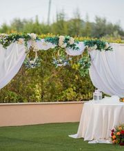 Gallery Professionale