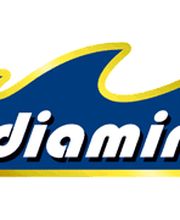LOGODIAMIR.png