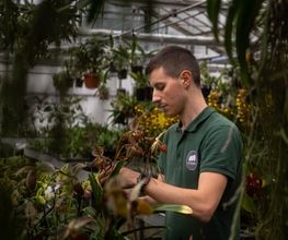 Orchidable di Andrea Martina Bild 11