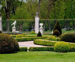 Ratton Philippe image 1