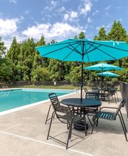 Longhill Grove image 10