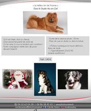 Photo Univers Studio Cécile Aubry SARL image 13