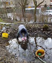 GMH Gartengestaltung Bild 2