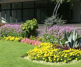 H. Gosteli AG Bild 7