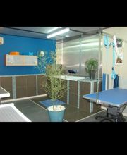 Toutou Clean.com image 17