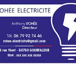 Rohee Electricite image 2