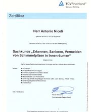 Malermeister Antonio Nicoli Bild 4