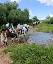 Centro Ecuestre Miguel Benítez-Cano imagen 4