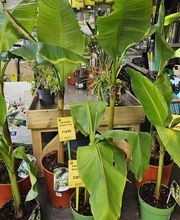 Point Vert Valcadis image 20