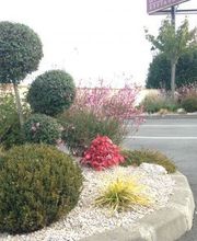 ND Paysage image 6
