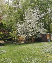 CENTRE SHENYU image 20