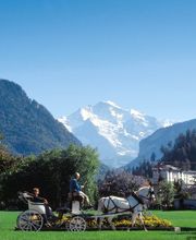 Hotel Weisses Kreuz Bild 3