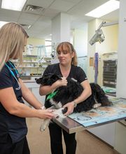Animal Care Hospital of Morris Inc image 3