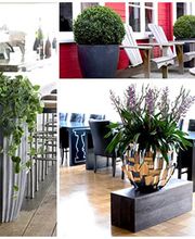 Gartenfachmarkt Richter Bild 6