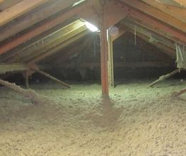 Isonorm Habitat image 2