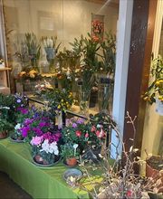 Grimm Obst u. Gemüsehandels AG Bild 2