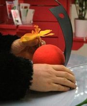 Aux Fleurs de l'Aulne image 9