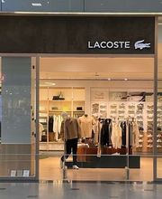 Overall View - Windows (Hero Image)