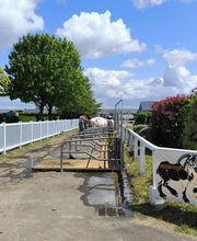 Alpha Protect image 2