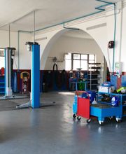 Gallery Cliente
