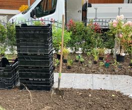 zehnder-garten GmbH Bild 6