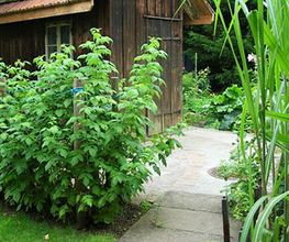 U. Widmer Gartenpflege & Gartengestaltung Gmbh Bild 2