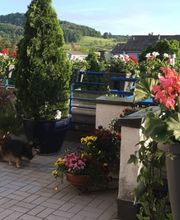 Pflegewohnung Weitblick / Spitex Futura 24 GmbH Bild 8