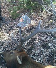 Colorado Premier Outfitters image 5